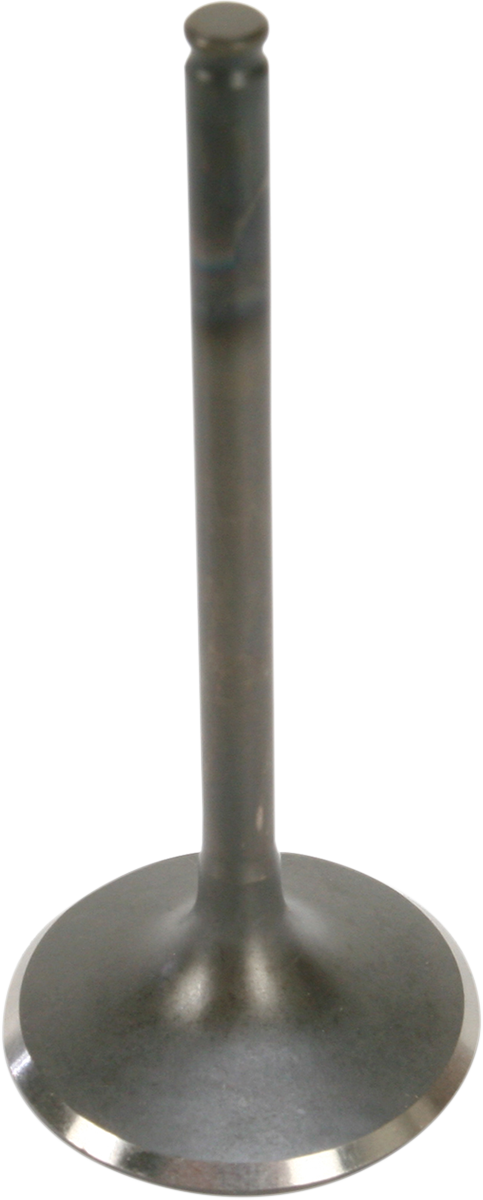 Intake Valve