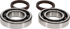 Crankshaft Bearing/Seal Kit - Beta