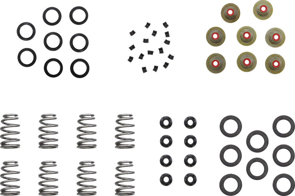 Beehive Shim Spring Kit