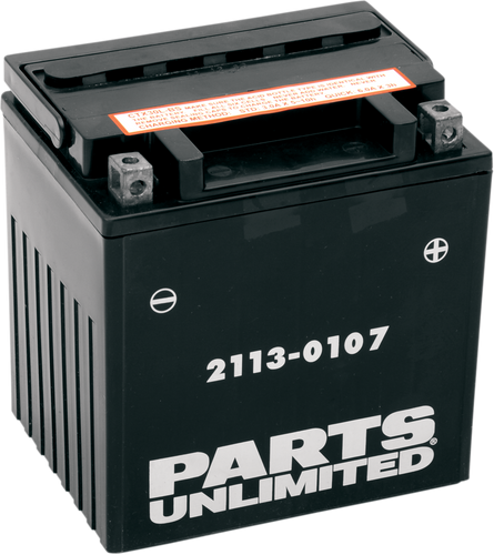 AGM Battery - YIX30L-BS