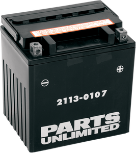 AGM Battery - YIX30L-BS