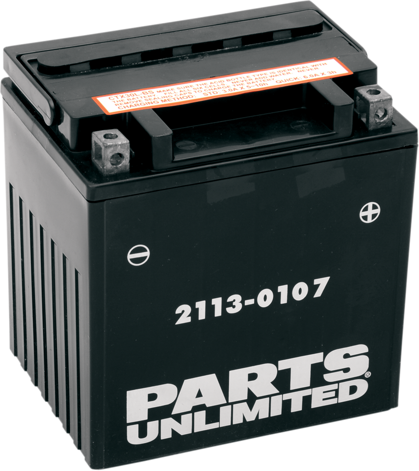 AGM Battery - YIX30L-BS