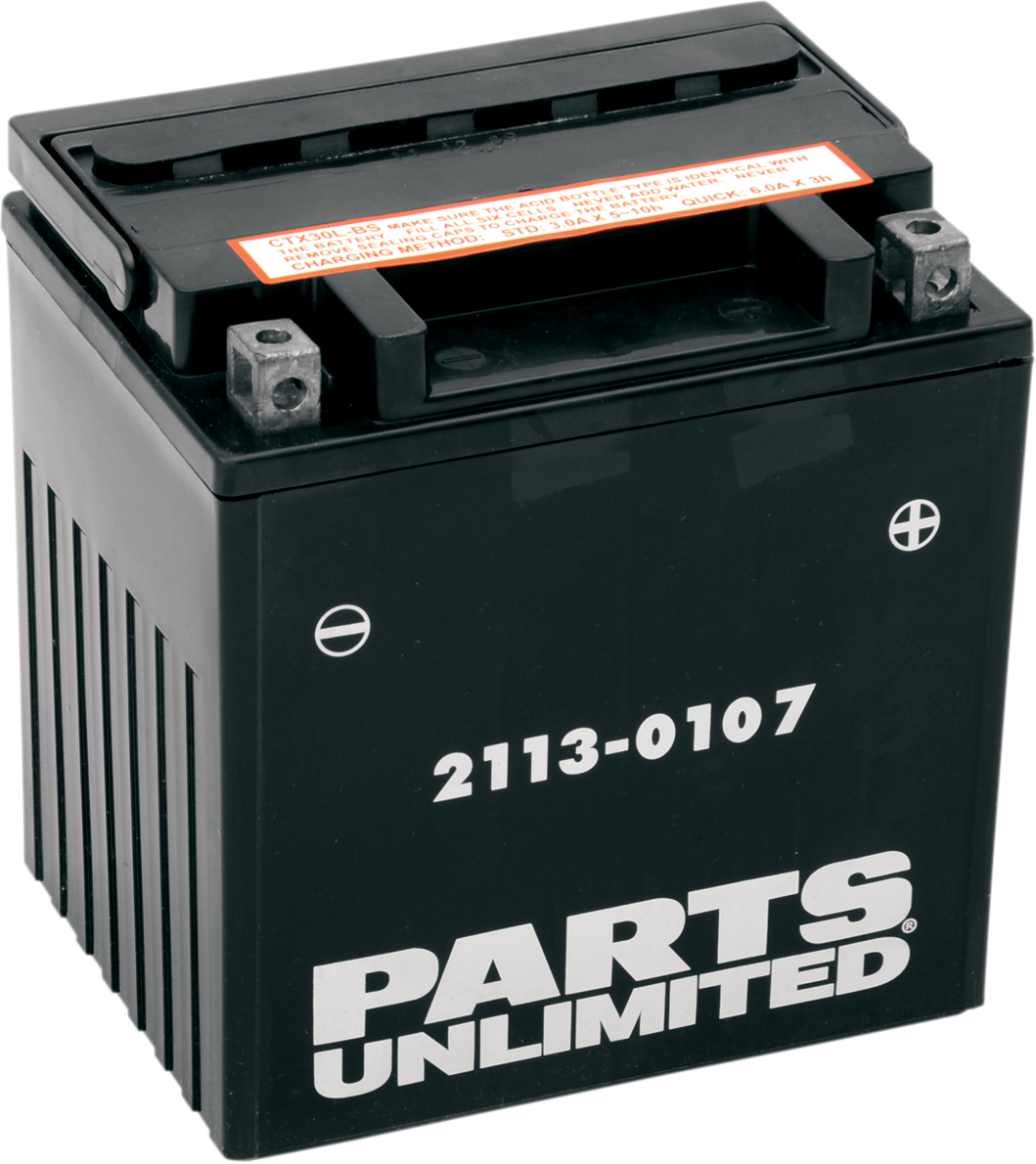 AGM Battery - YIX30L-BS