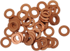 Drain Plug Washers - M8