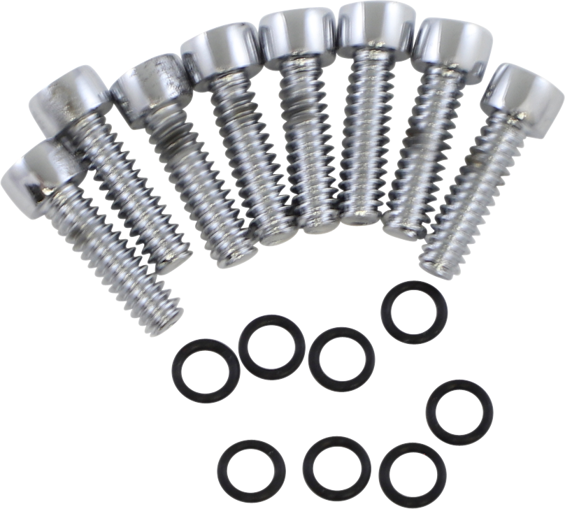 Turn Signal Lens Bolt Kit