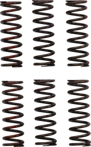 Clutch Springs - CRF 450R