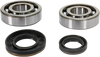 Crank Bearing and Seal Kit - Suzuki