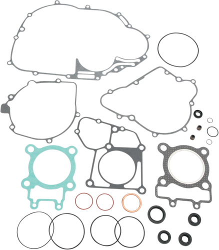 Motor Gasket Kit with Seal