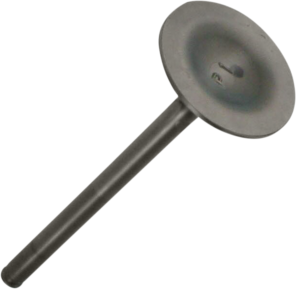 Exhaust Valve