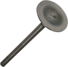 Exhaust Valve