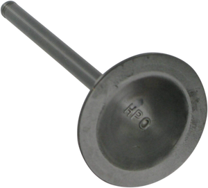 Intake Valve