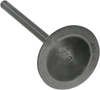 Intake Valve