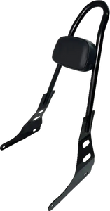 One-Piece Sissy Bar - Gloss Black - Lutzka's Garage