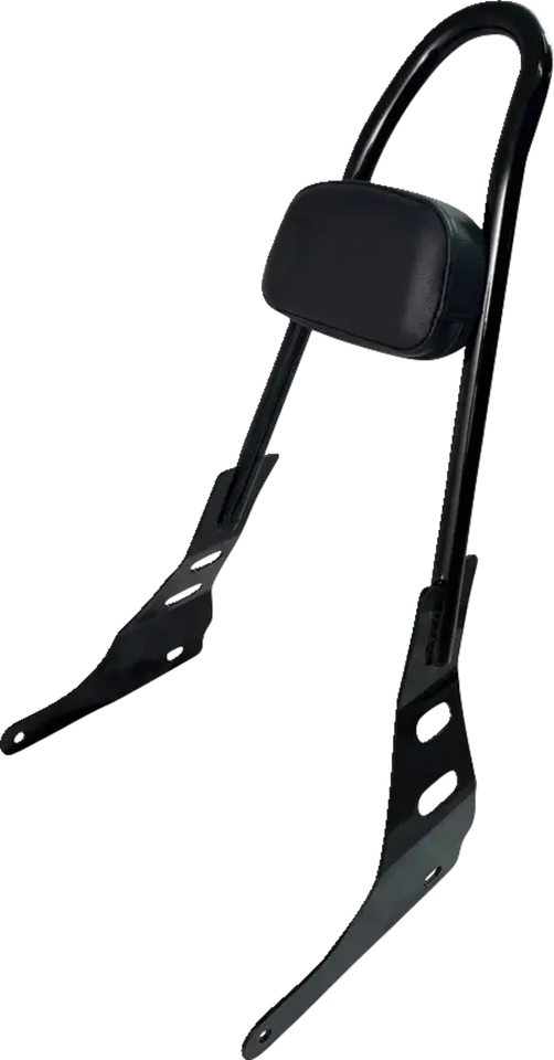 One-Piece Sissy Bar - Gloss Black - Lutzka's Garage