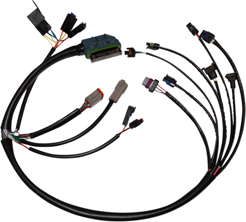 EFI - Harness