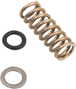 Air Mixture Screw Kit