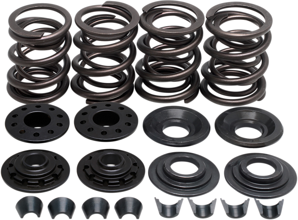 Valve Spring Kit - XL - Lutzka's Garage