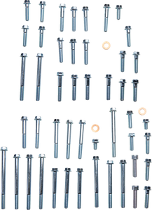 Engine Fastener Kit - Suzuki RMZ