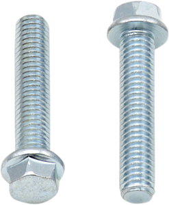 Bolts - Flange - M6 x 30 - 10-Pack