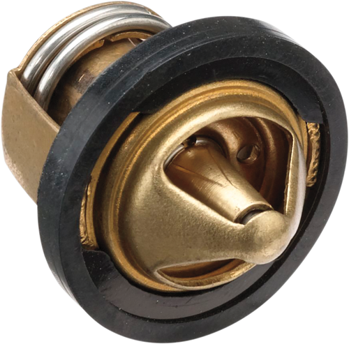 Replacement Thermostat - Polaris