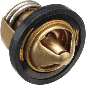 Replacement Thermostat - Polaris