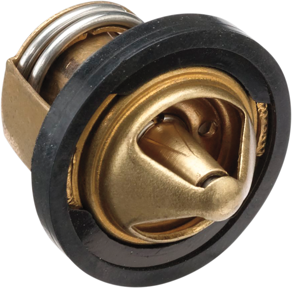 Replacement Thermostat - Polaris