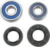 Wheel Bearing Kit - Rear