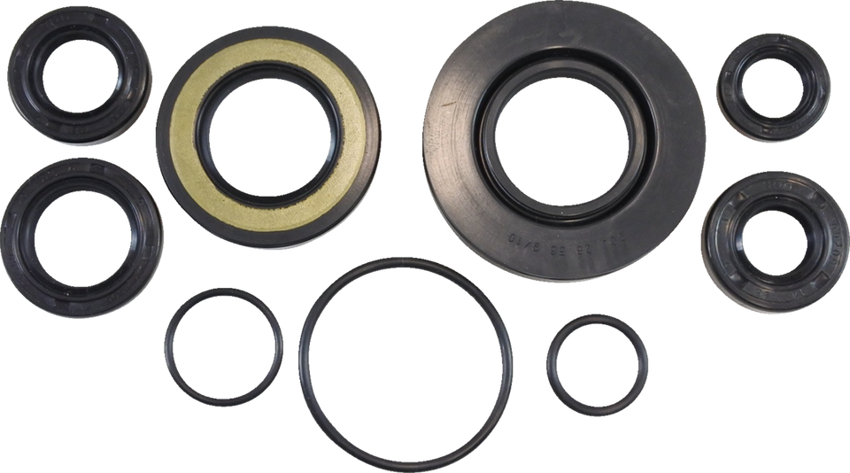 Oil Seal Kit