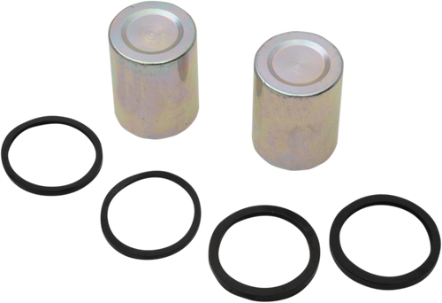 Caliper Seal Kit and Pistons - Front