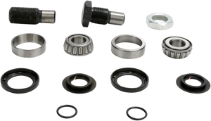 Swingarm Bearing Kit