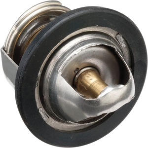 Replacement Thermostat - Polaris