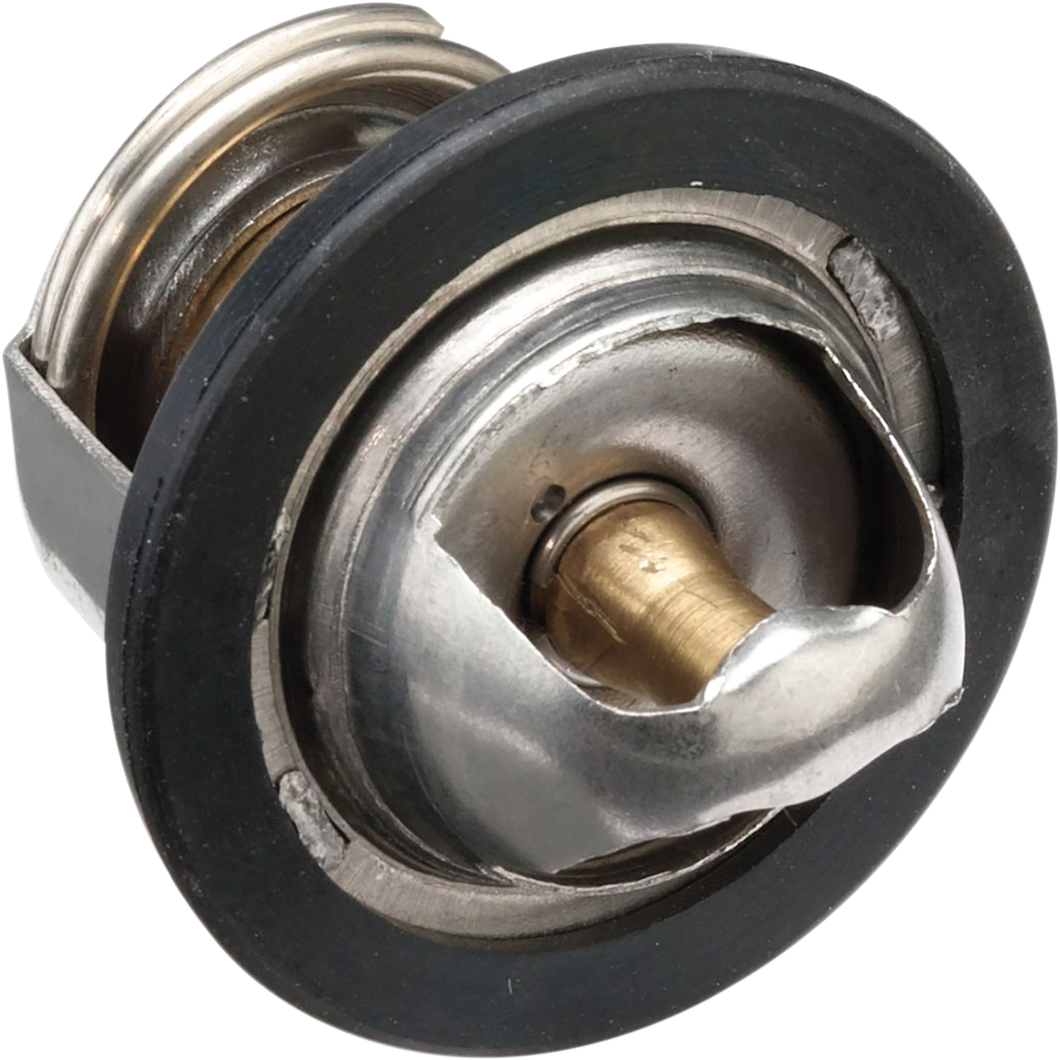 Replacement Thermostat - Polaris