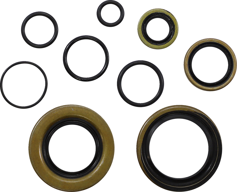 Oil Seal Kit