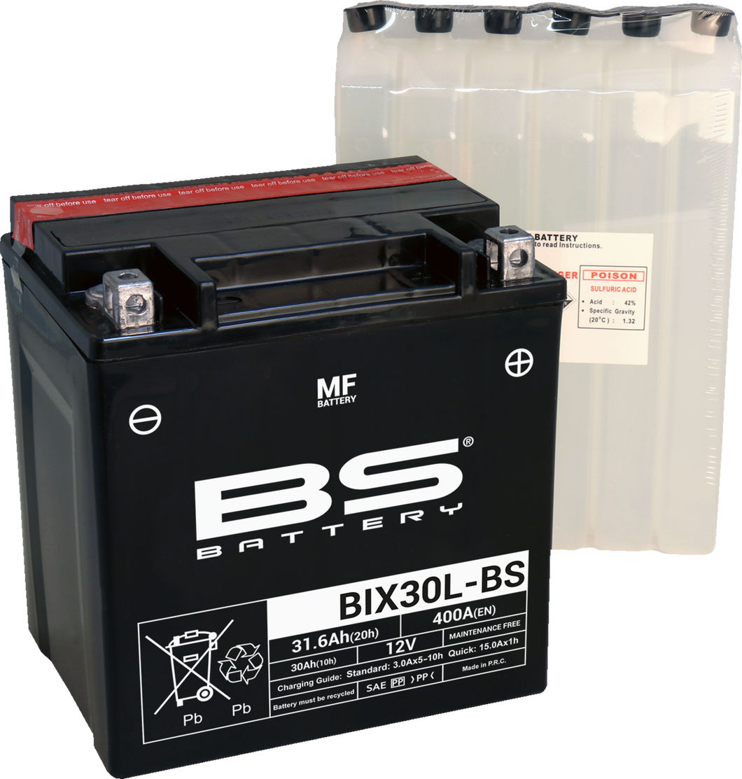 Battery - BIX30L-BS (YIX)