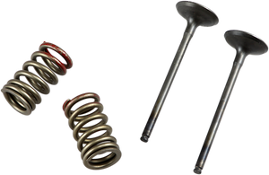 Valve and Spring Kit - Exhaust - Kawasaki | Suzuki