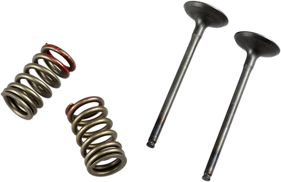 Valve and Spring Kit - Exhaust - Kawasaki | Suzuki