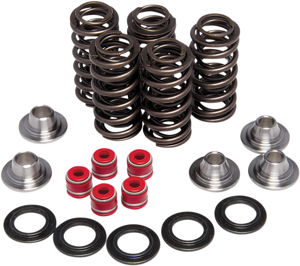 Valve Spring Kit