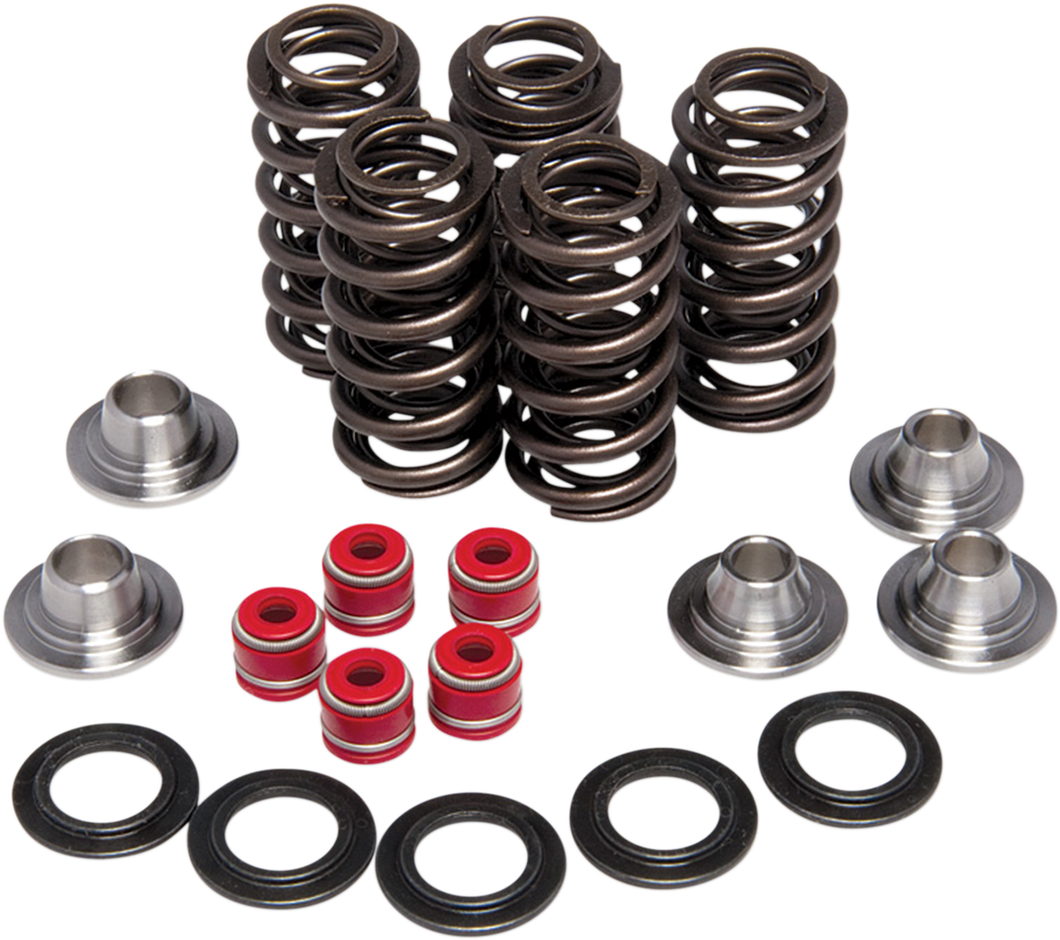 Valve Spring Kit