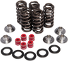 Valve Spring Kit