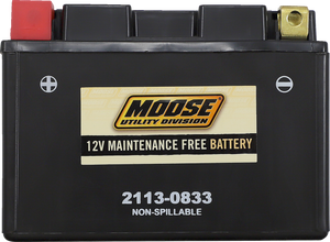 AGM Battery - CTZ14S