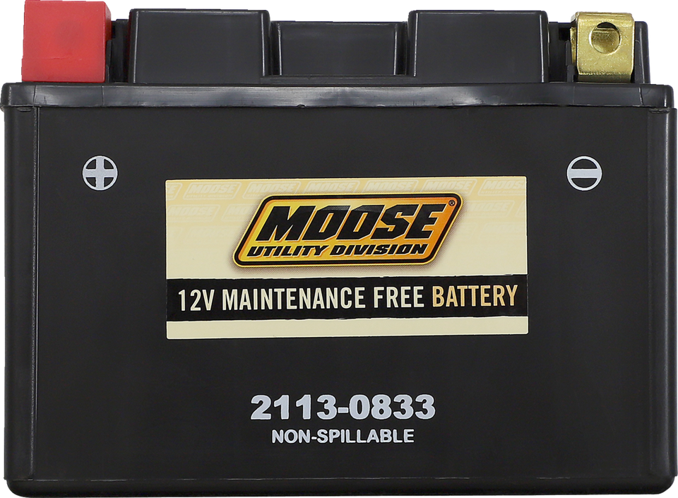 AGM Battery - CTZ14S