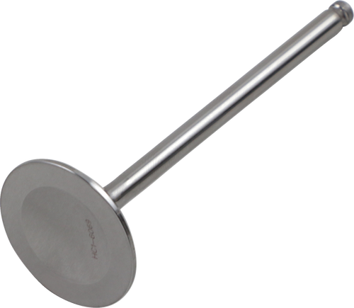 Outer Intake Valve