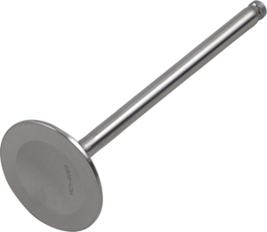 Outer Intake Valve