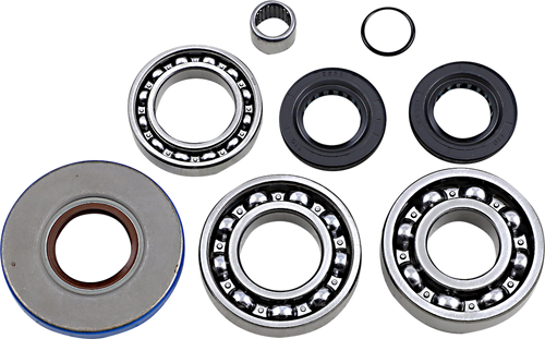 Differential Bearing/Seal Kit - Rear