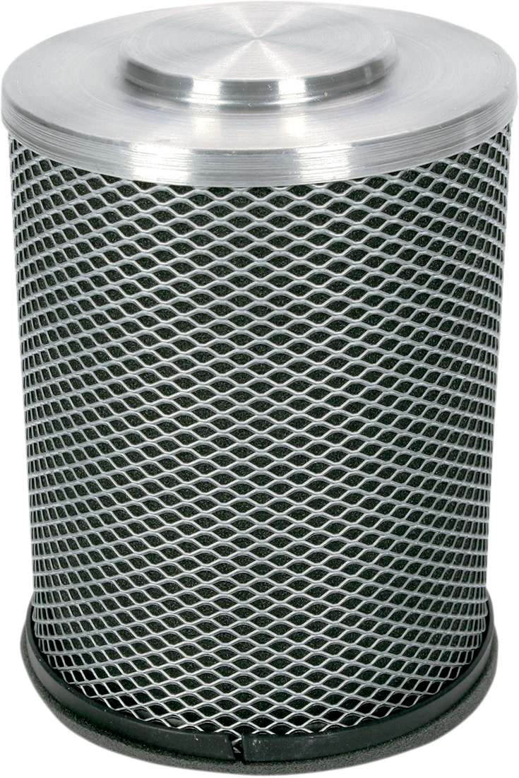 Replacement OEM Air Filter - Honda