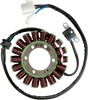 Stator - Suzuki