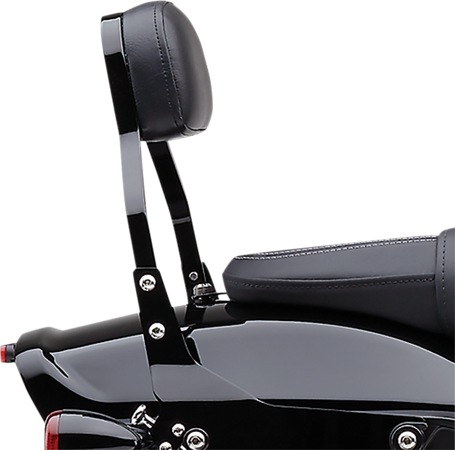 Backrest Kit - 11" - Black - FXFBS - Lutzka's Garage