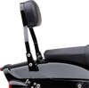 Backrest Kit - 11" - Black - FXFBS - Lutzka's Garage