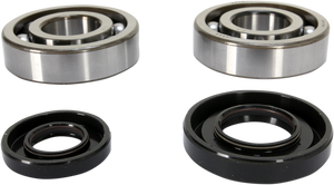 Crank Bearing and Seal Kit - Yamaha