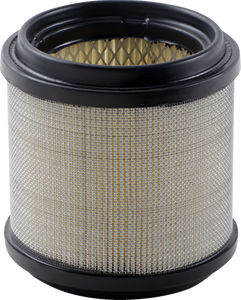 Air Filter - Polaris